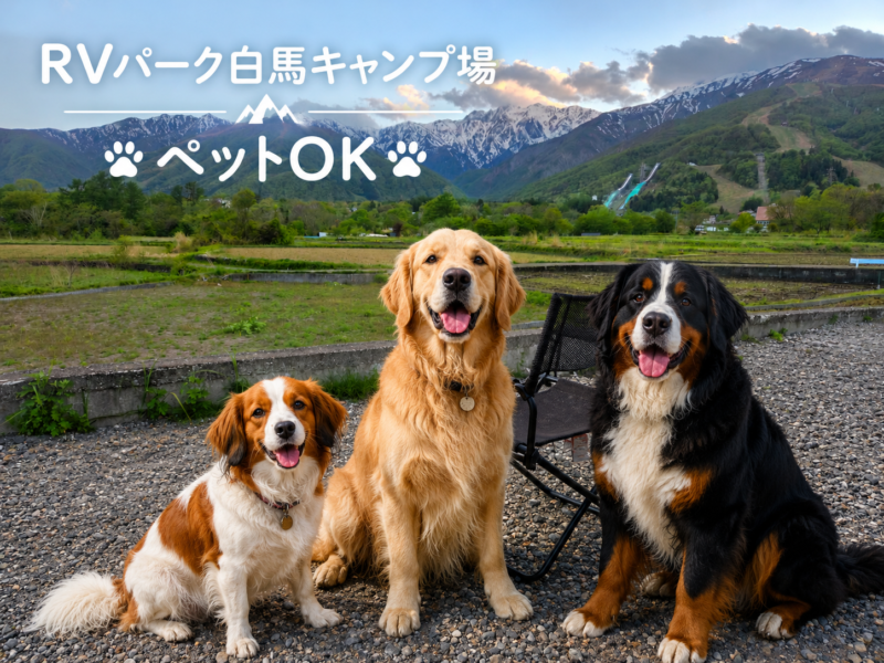 ペット連れOK